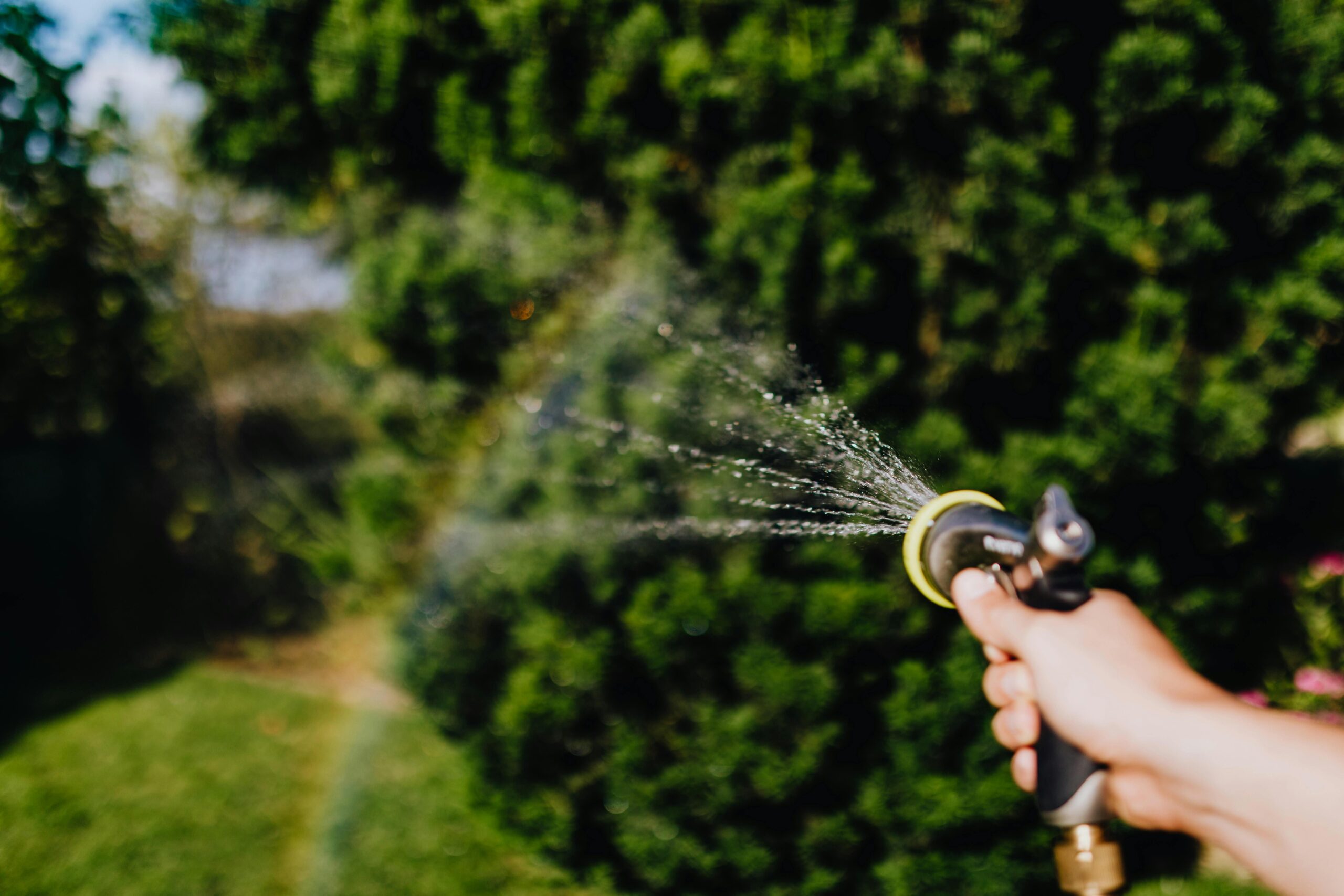 Wasser sparen im Garten: Die besten Techniken